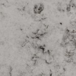 phoca_thumb_m_zajci a zvtka 30 Fotogalerie